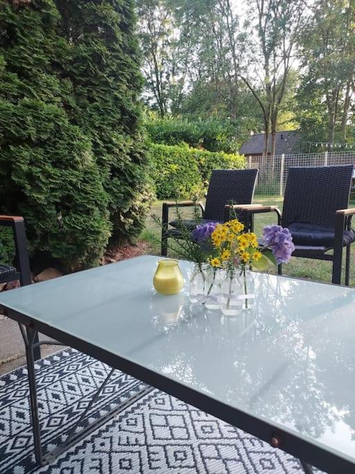 Heerlijk Huys, Vakantievilla Met Prive Tuin Ewijk Esterno foto